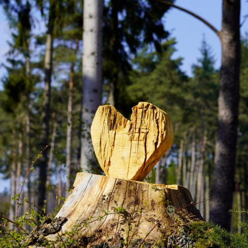 Workshop Houten hart Sandra Witteman